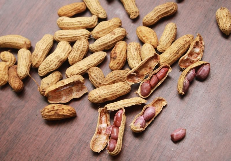 Cleaned groundnuts, some shelled to check the kernels